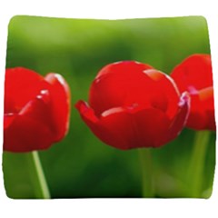 Three Red Tulips, Green Background Seat Cushion by FunnyCow