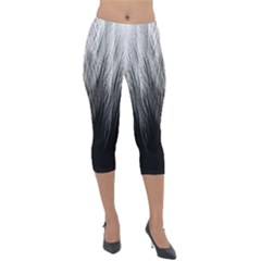 Feather Graphic Design Background Lightweight Velour Capri Leggings  by Nexatart