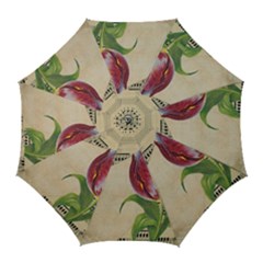 Tulip 1229027 1920 Golf Umbrellas by vintage2030