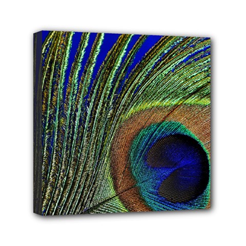 Peacock Feather Macro Peacock Bird Mini Canvas 6  X 6  (stretched) by Simbadda