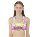 Pretty Pink, White And Yellow Cactus Dahlia Macro Sports Bra with Border View1