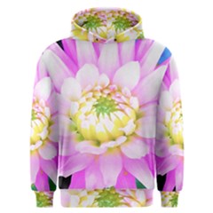 Pretty Pink, White And Yellow Cactus Dahlia Macro Men s Overhead Hoodie by myrubiogarden