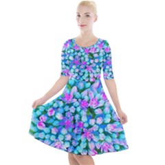 Blue And Hot Pink Succulent Sedum Flowers Detail Quarter Sleeve A-line Dress by myrubiogarden