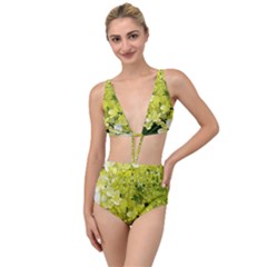 Elegant Chartreuse Green Limelight Hydrangea Macro Tied Up Two Piece Swimsuit by myrubiogarden