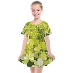 Elegant Chartreuse Green Limelight Hydrangea Macro Kids  Smock Dress by myrubiogarden