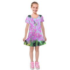 Hot Pink And White Peppermint Twist Garden Phlox Kids  Short Sleeve Velvet Dress by myrubiogarden