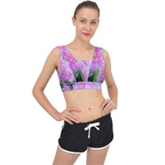 Hot Pink And White Peppermint Twist Garden Phlox V-back Sports Bra by myrubiogarden