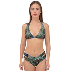 Peacock Tail Feathers Double Strap Halter Bikini Set by Wegoenart