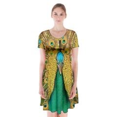 Peacock Feather Bird Peafowl Short Sleeve V-neck Flare Dress by Wegoenart