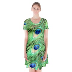 Peacock Feathers Peafowl Short Sleeve V-neck Flare Dress by Wegoenart