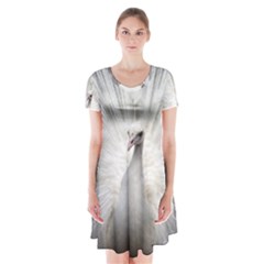 Peacock White Bird Nature Short Sleeve V-neck Flare Dress by Wegoenart