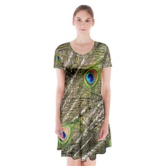 Peacock Feathers Color Plumag Short Sleeve V-neck Flare Dress by Wegoenart