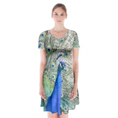 Peacock Bird Colorful Plumage Short Sleeve V-neck Flare Dress by Wegoenart