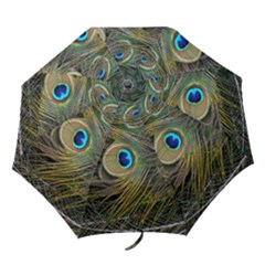 Peacock Tail Feathers Close Up Folding Umbrellas by Pakrebo