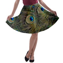 Peacock Tail Feathers Close Up A-line Skater Skirt by Pakrebo