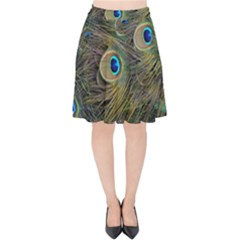 Peacock Tail Feathers Close Up Velvet High Waist Skirt by Pakrebo