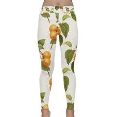 Apricot Fruit Vintage Art Classic Yoga Leggings by Pakrebo