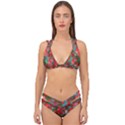 Redness Double Strap Halter Bikini Set View1