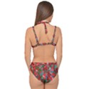 Redness Double Strap Halter Bikini Set View2