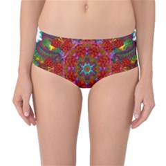 Mandala Fractal Graphic Design Mid-waist Bikini Bottoms by Pakrebo