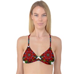 Mandala Fractal Graphic Design Reversible Tri Bikini Top by Pakrebo