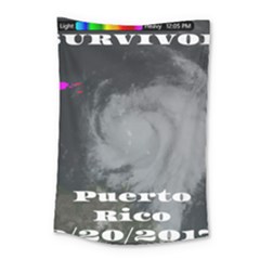 Survivor Of Hurricane Maria Puerto Rico Small Tapestry by StarvingArtisan