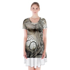 Iguana Portrait Profile Close Up Short Sleeve V-neck Flare Dress by Wegoenart