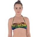 Lgbt Pride Rainbow Gay Lesbian Halter Bandeau Bikini Top View1