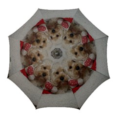 Cockapoo In Dog s Bed Golf Umbrellas by pauchesstore