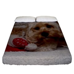 Cockapoo In Dog s Bed Fitted Sheet (queen Size) by pauchesstore