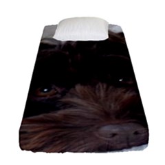 Laying In Dog Bed Fitted Sheet (single Size) by pauchesstore