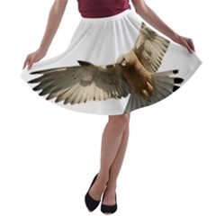 Eagle A-line Skater Skirt by Sudhe