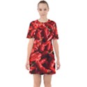 Red Chili Sixties Short Sleeve Mini Dress View1