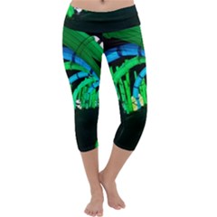 Dragon Lights Panda Capri Yoga Leggings by Riverwoman