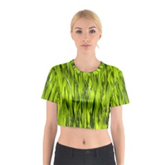 Agricultural Field   Cotton Crop Top by rsooll