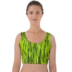 Agricultural Field   Velvet Crop Top by rsooll