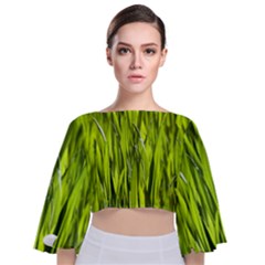 Agricultural Field   Tie Back Butterfly Sleeve Chiffon Top by rsooll