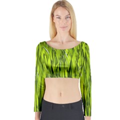 Agricultural Field   Long Sleeve Crop Top by rsooll