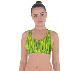 Agricultural Field   Cross String Back Sports Bra by rsooll