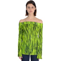 Agricultural Field   Off Shoulder Long Sleeve Top by rsooll