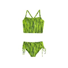 Agricultural Field   Girls  Tankini Swimsuit by rsooll