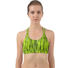 Agricultural Field   Back Web Sports Bra by rsooll