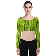 Agricultural Field   Velvet Long Sleeve Crop Top by rsooll