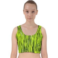 Agricultural Field   Velvet Racer Back Crop Top by rsooll