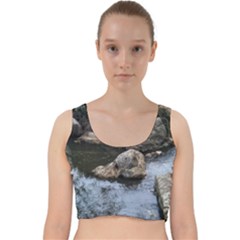 Garden Of The Phoenix Velvet Racer Back Crop Top by Riverwoman