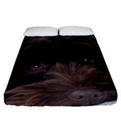 Laying In Dog Bed Fitted Sheet (queen Size) by pauchesstore