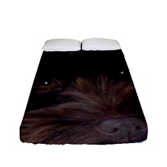 Laying In Dog Bed Fitted Sheet (full/ Double Size) by pauchesstore