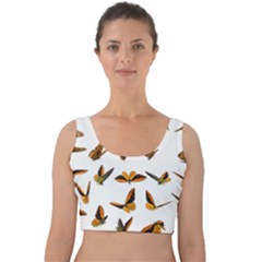 Butterfly Butterflies Insect Swarm Velvet Crop Top by Pakrebo