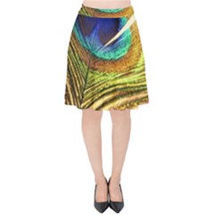 Peacock Feather Colorful Peacock Velvet High Waist Skirt by Pakrebo