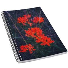 Neon Orange Butterfly Weed 5 5  X 8 5  Notebook by okhismakingart